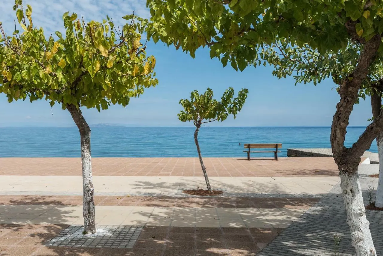 Areti Apartments Poros  Poros (Kefalonia)